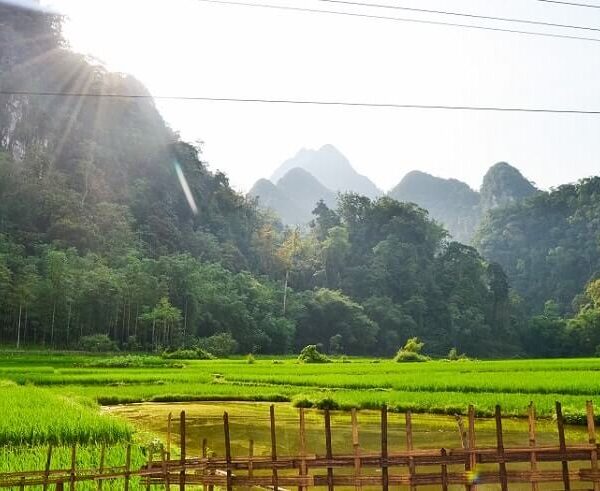 Bản Cỏi có vị trí nằm giữa vùng lõi của vườn quốc gia Xuân Sơn