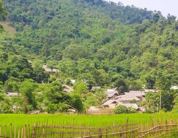 Chiêm ngưỡng những nếp nhà nhỏ xinh