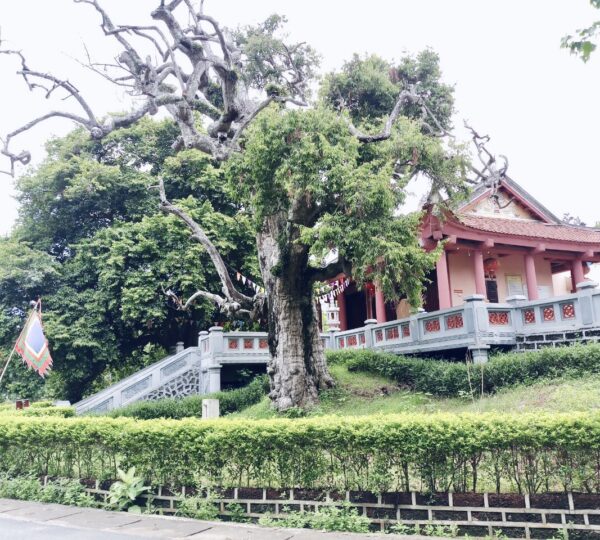 THIÊN CỔ MIẾU